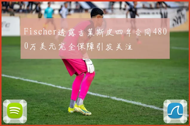 Fischer透露吉莱斯皮四年合同4800万美元完全保障引发关注
